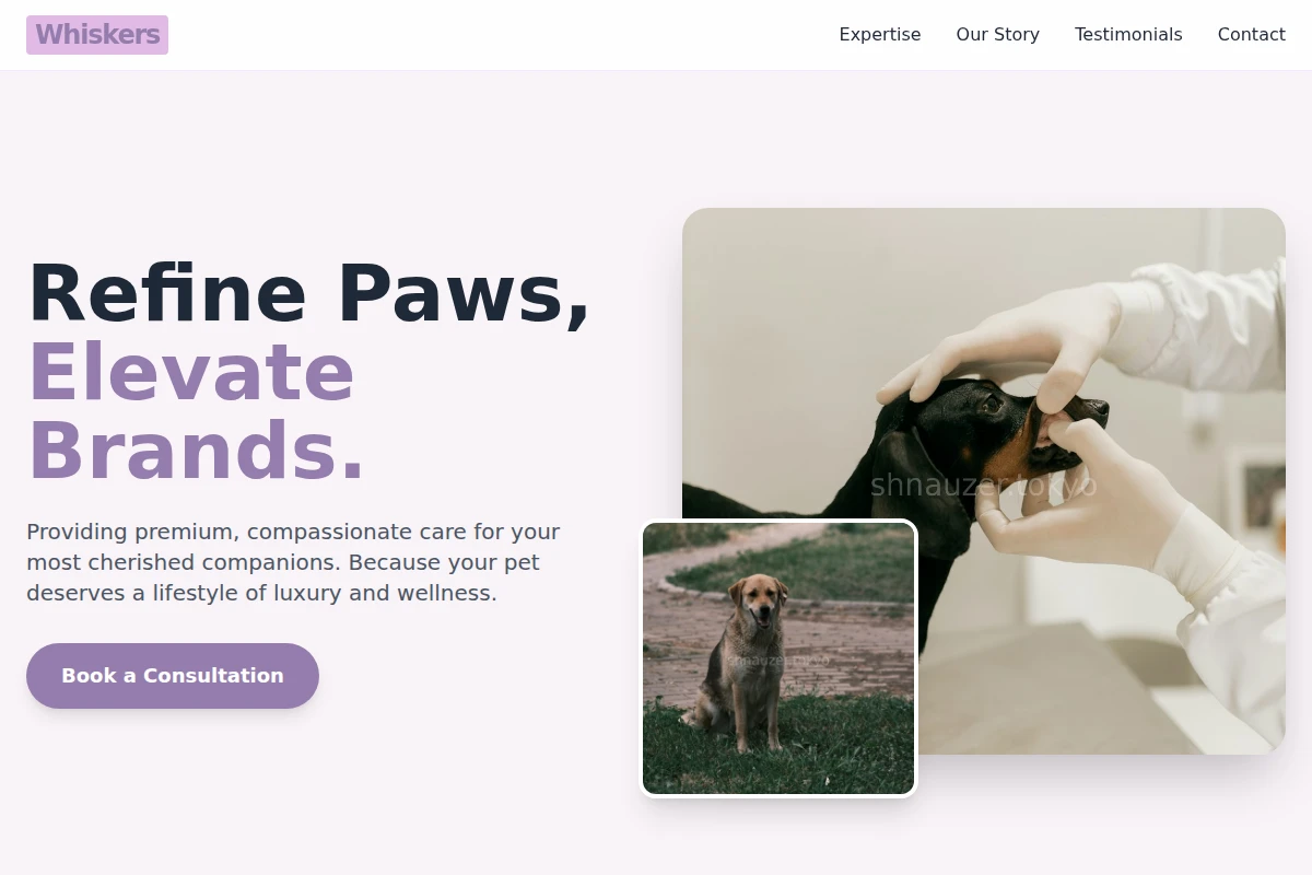 Whiskers Animal Care