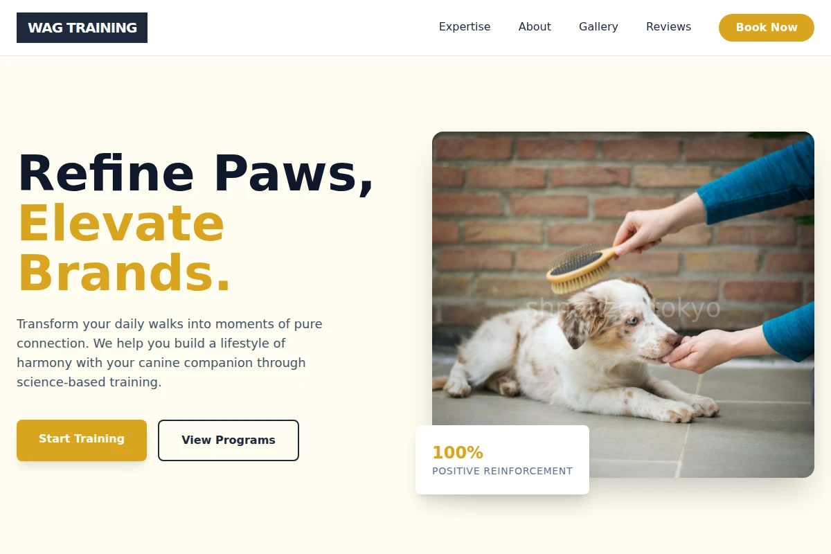 Wag Dog Training