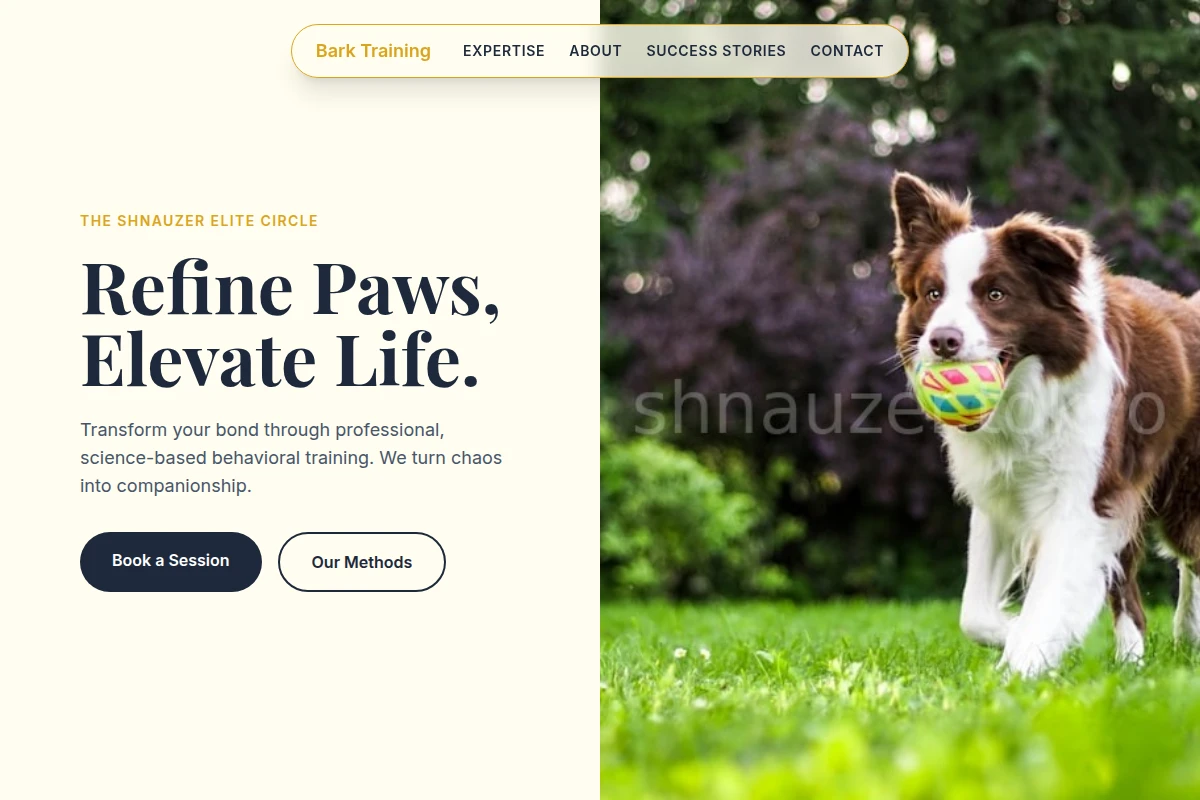 Bark Dog Training