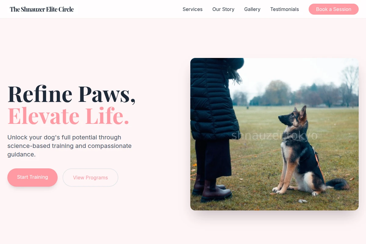 Sit Dog Training
