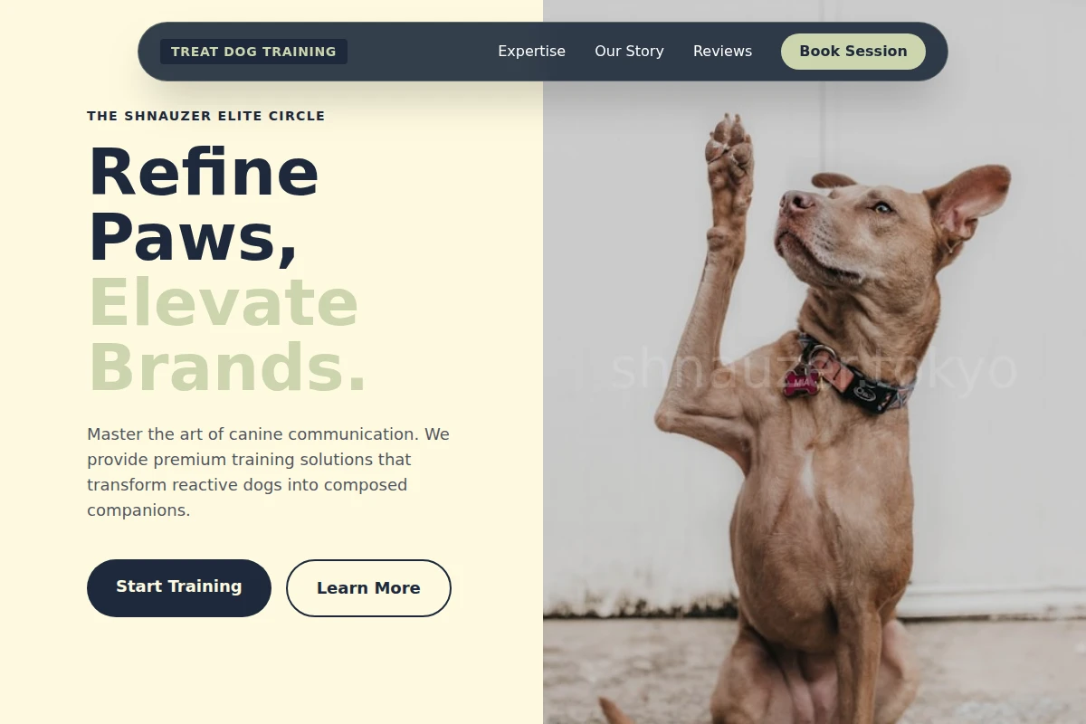 Treat Dog Training