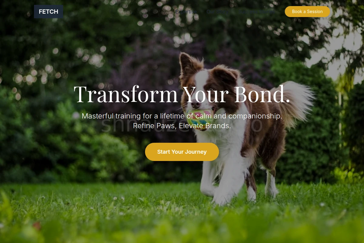 Fetch Dog Training