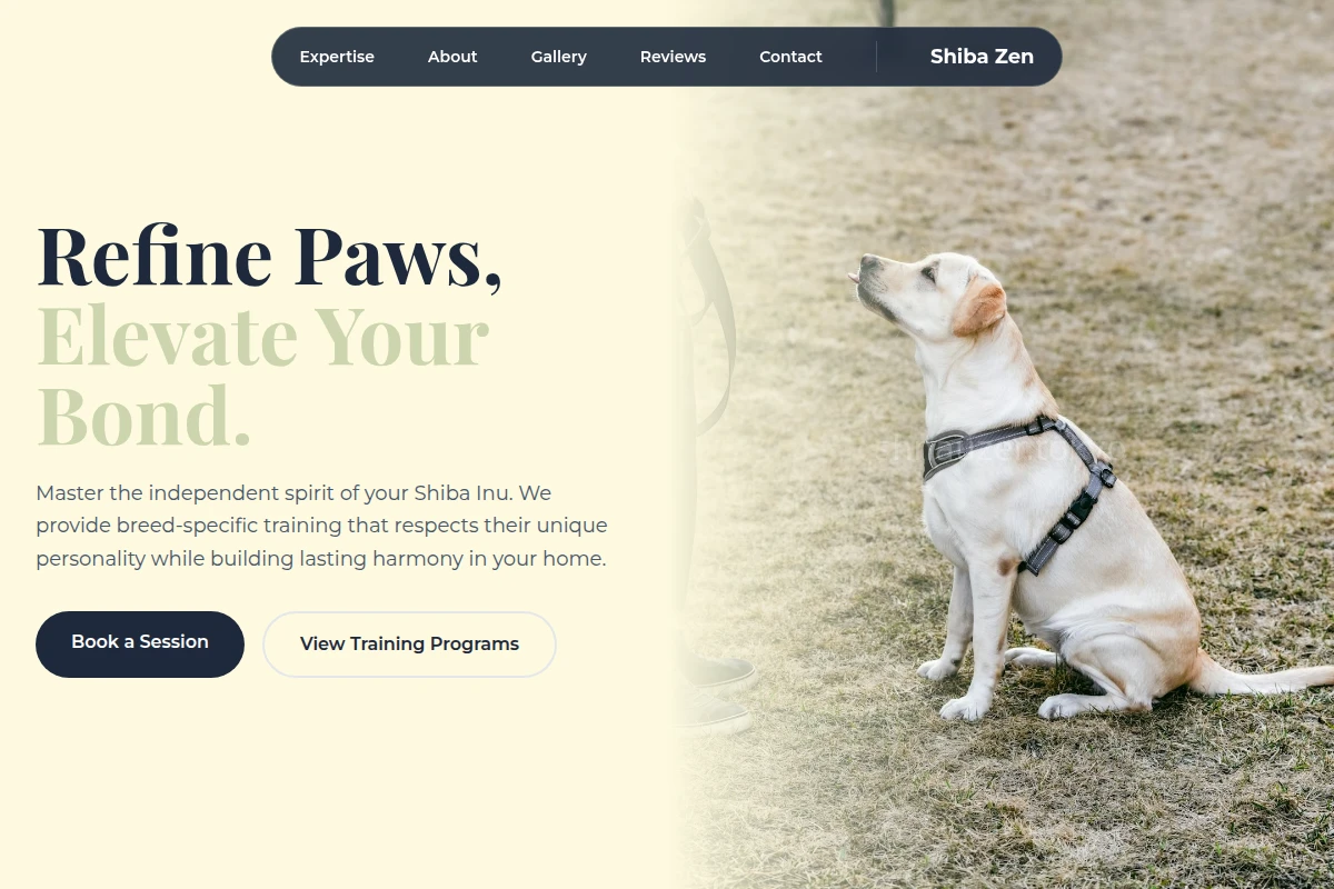 Shiba Dog Training