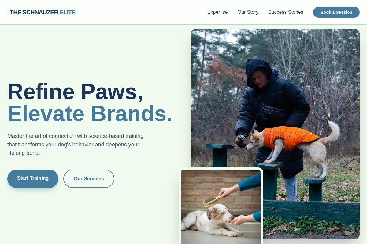 Collar Dog Training