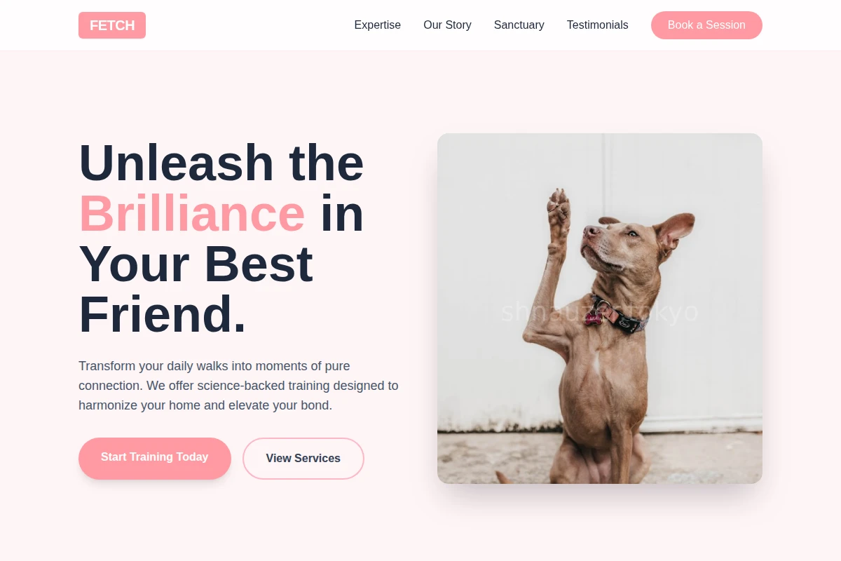 Fetch Dog Training