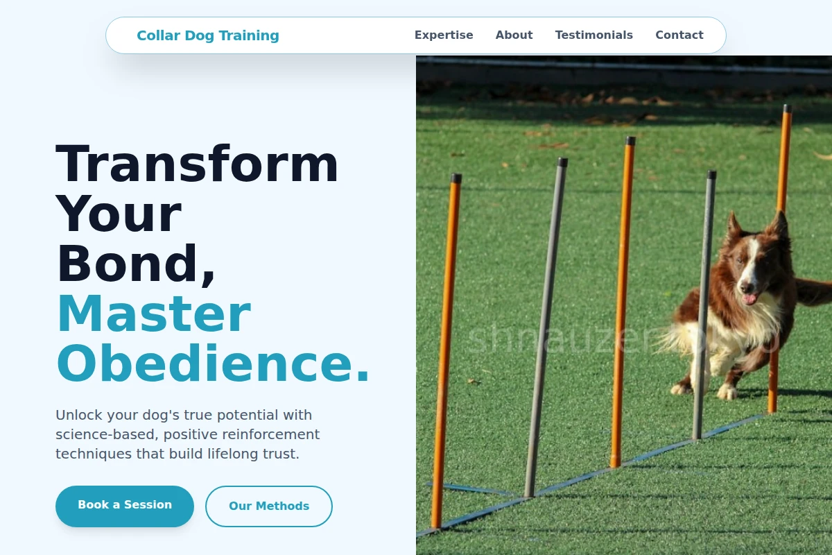 Collar Dog Training