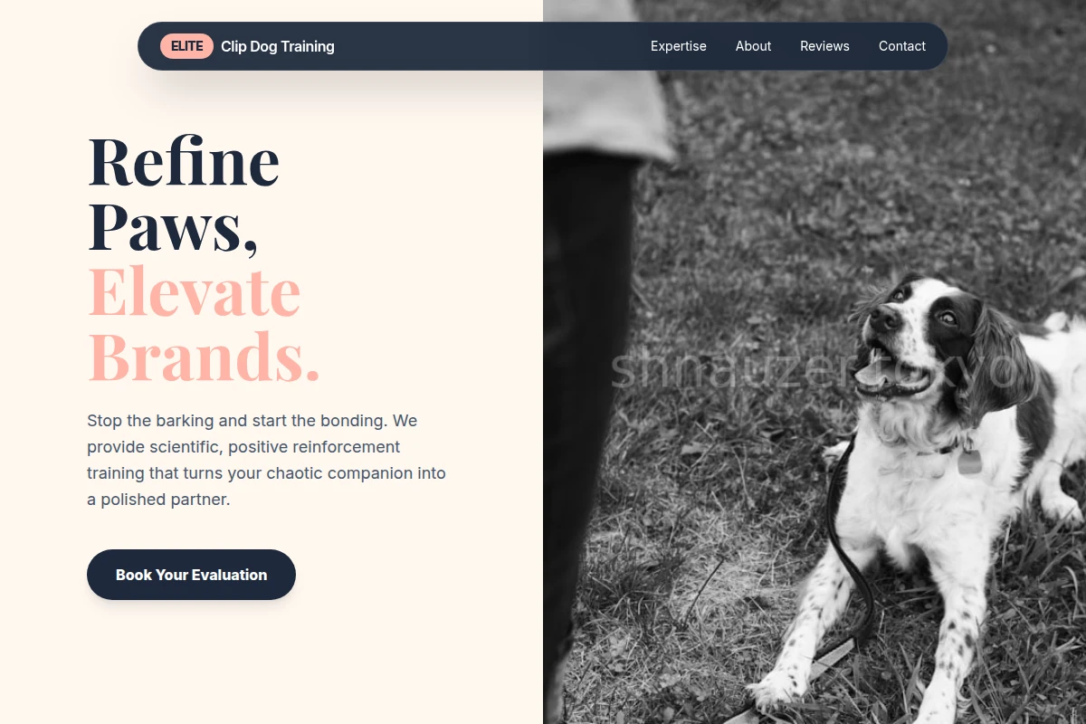 Clip Dog Training