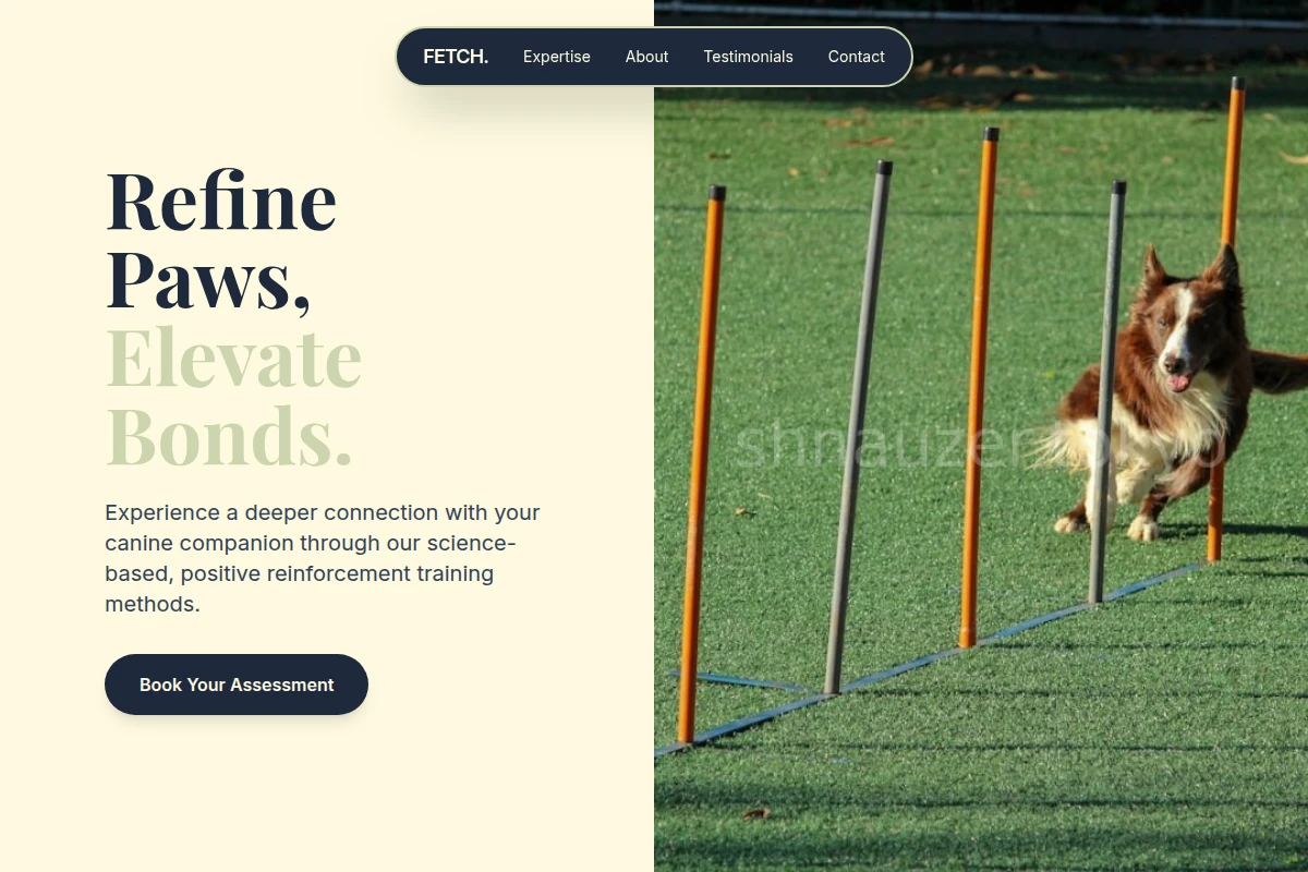 Fetch Dog Training