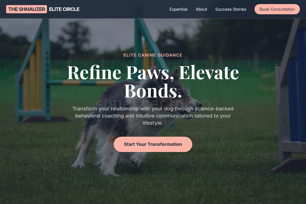 Park Dog Training