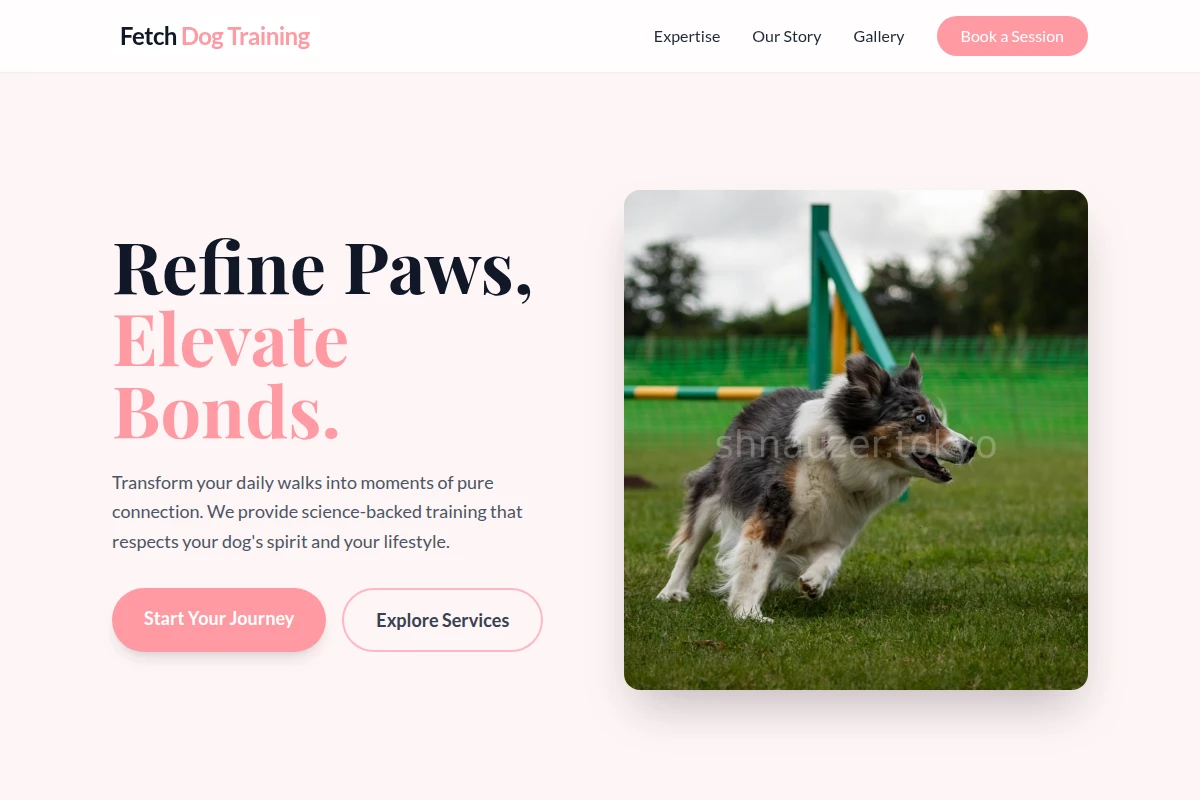 Fetch Dog Training