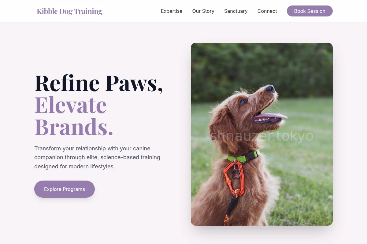 dog-training