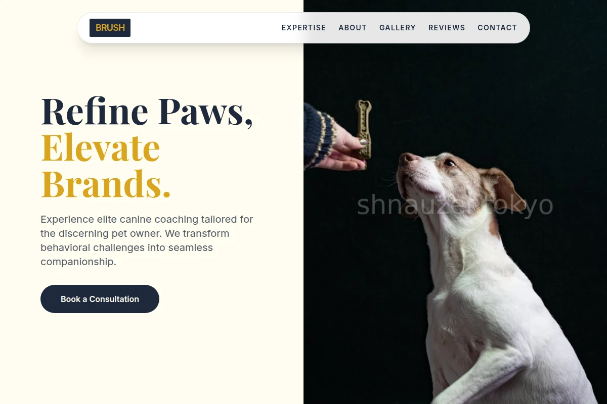 Brush Dog Training