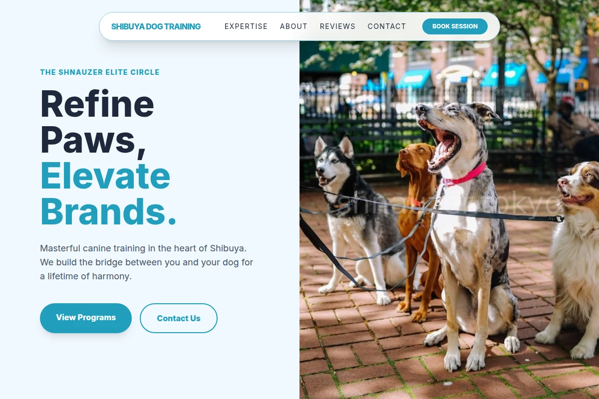 Shibuya Dog Training