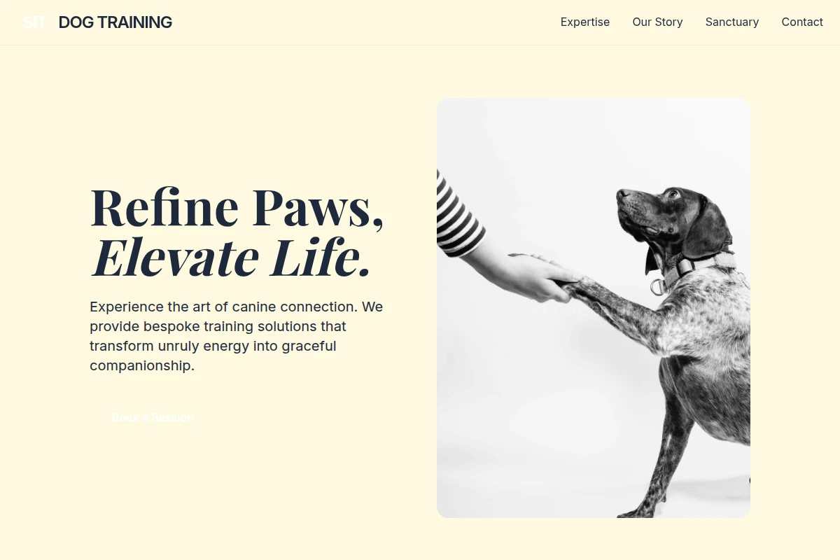 Sit Dog Training