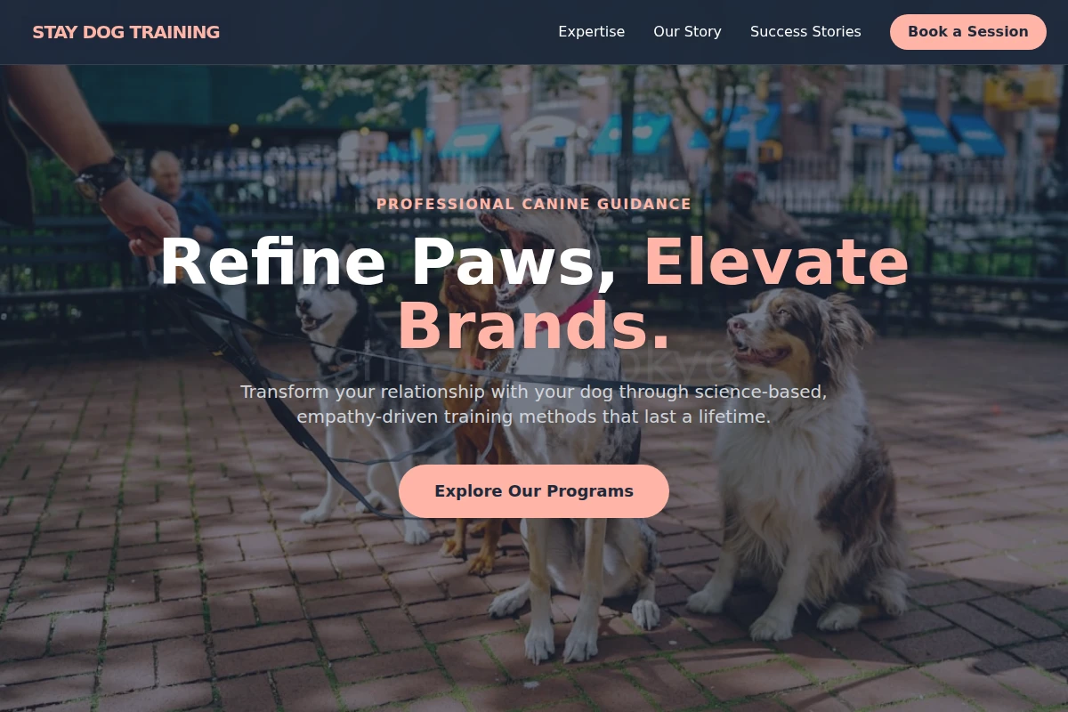 Stay Dog Training