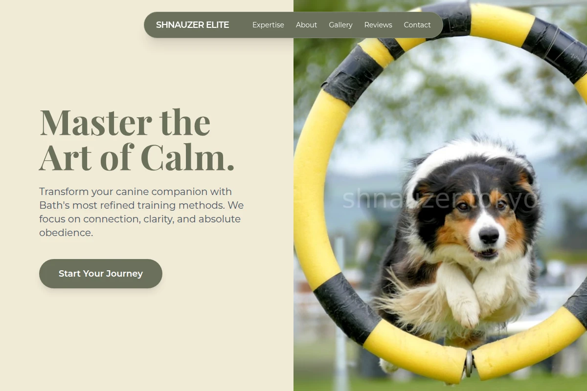 Bath Dog Training