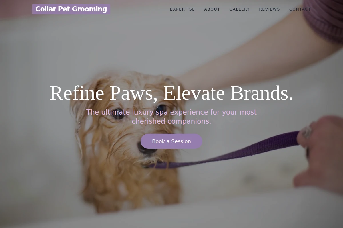 Collar Pet Grooming