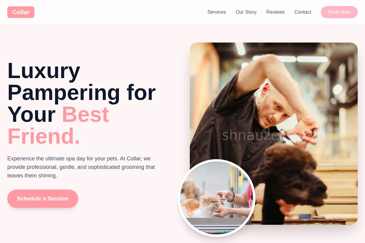 Collar Pet Grooming