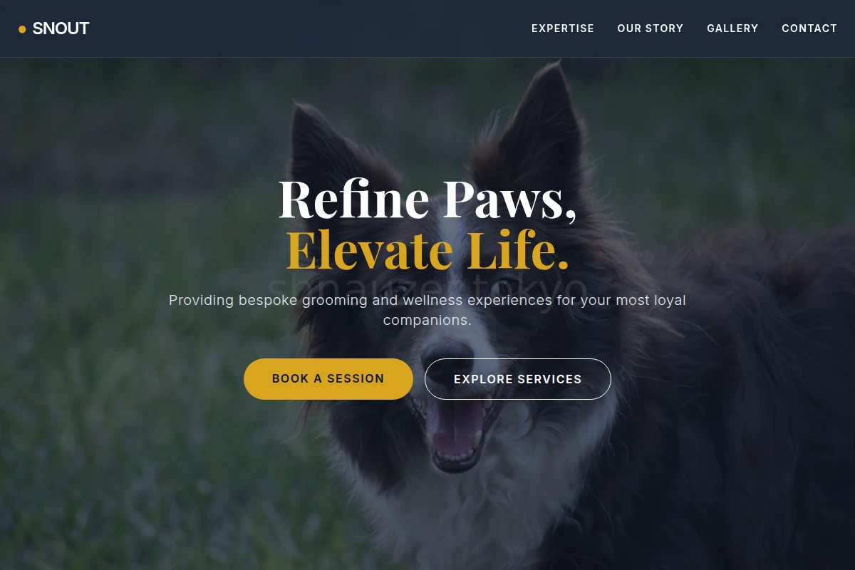 Snout Pet Services