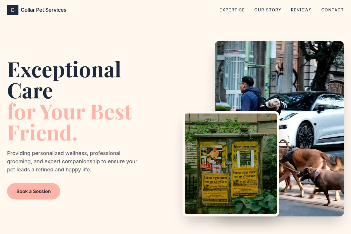 Collar Pet Services