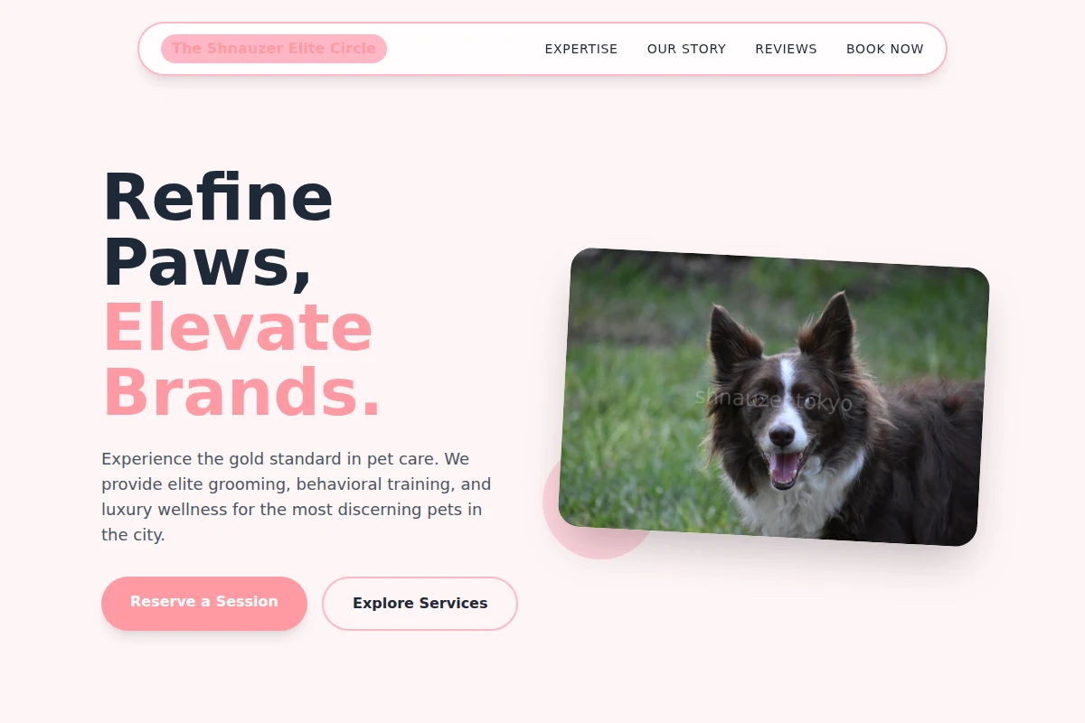 Paw Pet Services