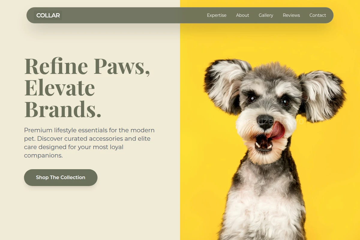 Collar Pet Shop
